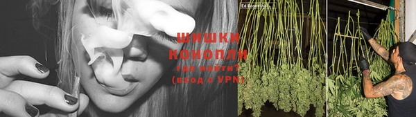 ГАЛЛЮЦИНОГЕННЫЕ ГРИБЫ Армянск