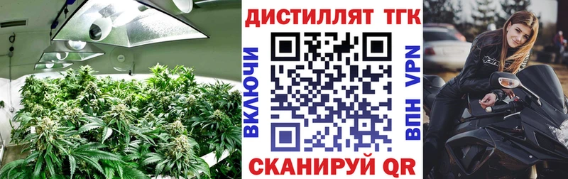 дарнет шоп  Бодайбо  Дистиллят ТГК жижа 